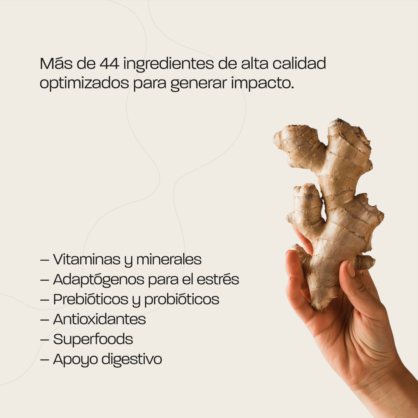 Omna Superblend - Omna Drink