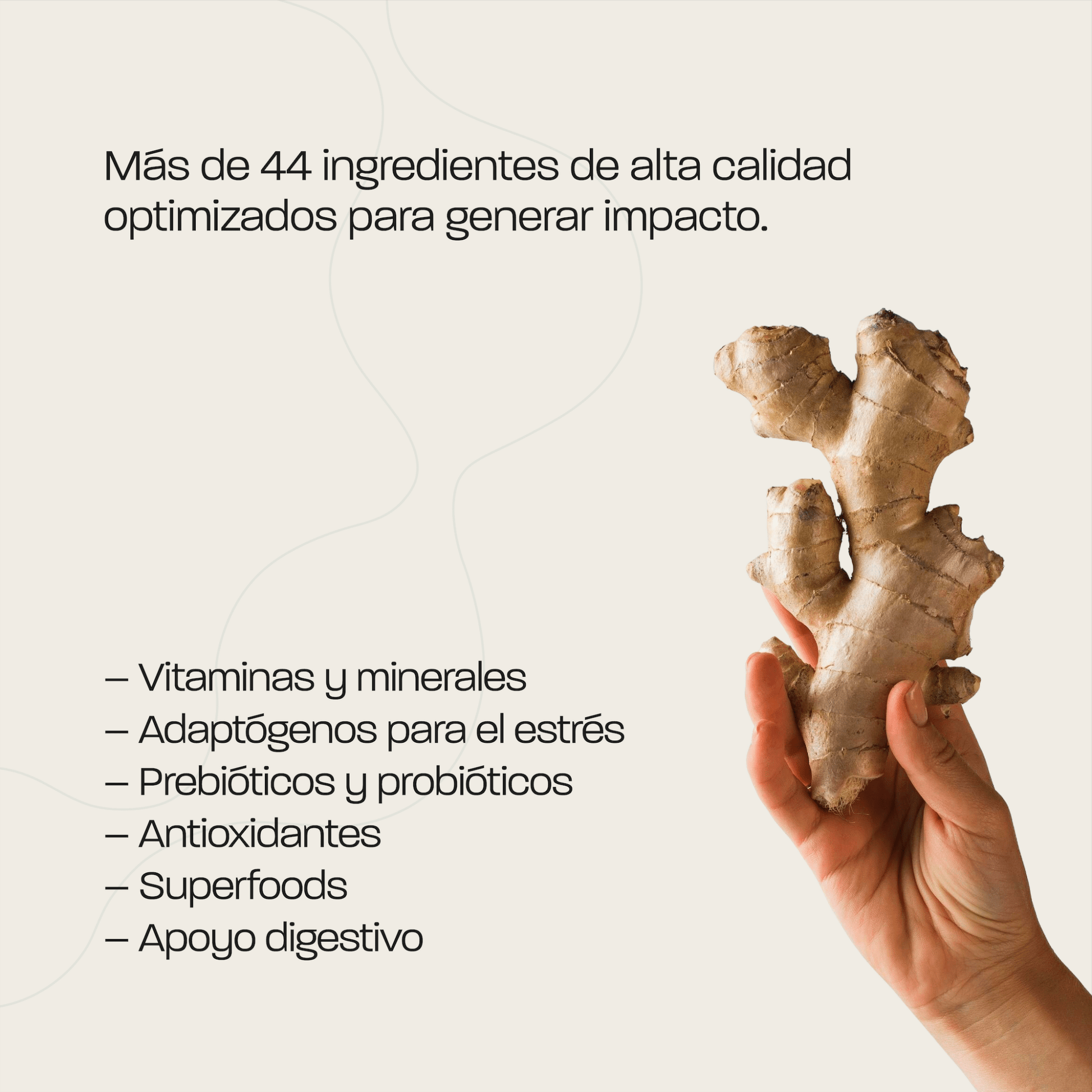 Omna Superblend - Omna Drink